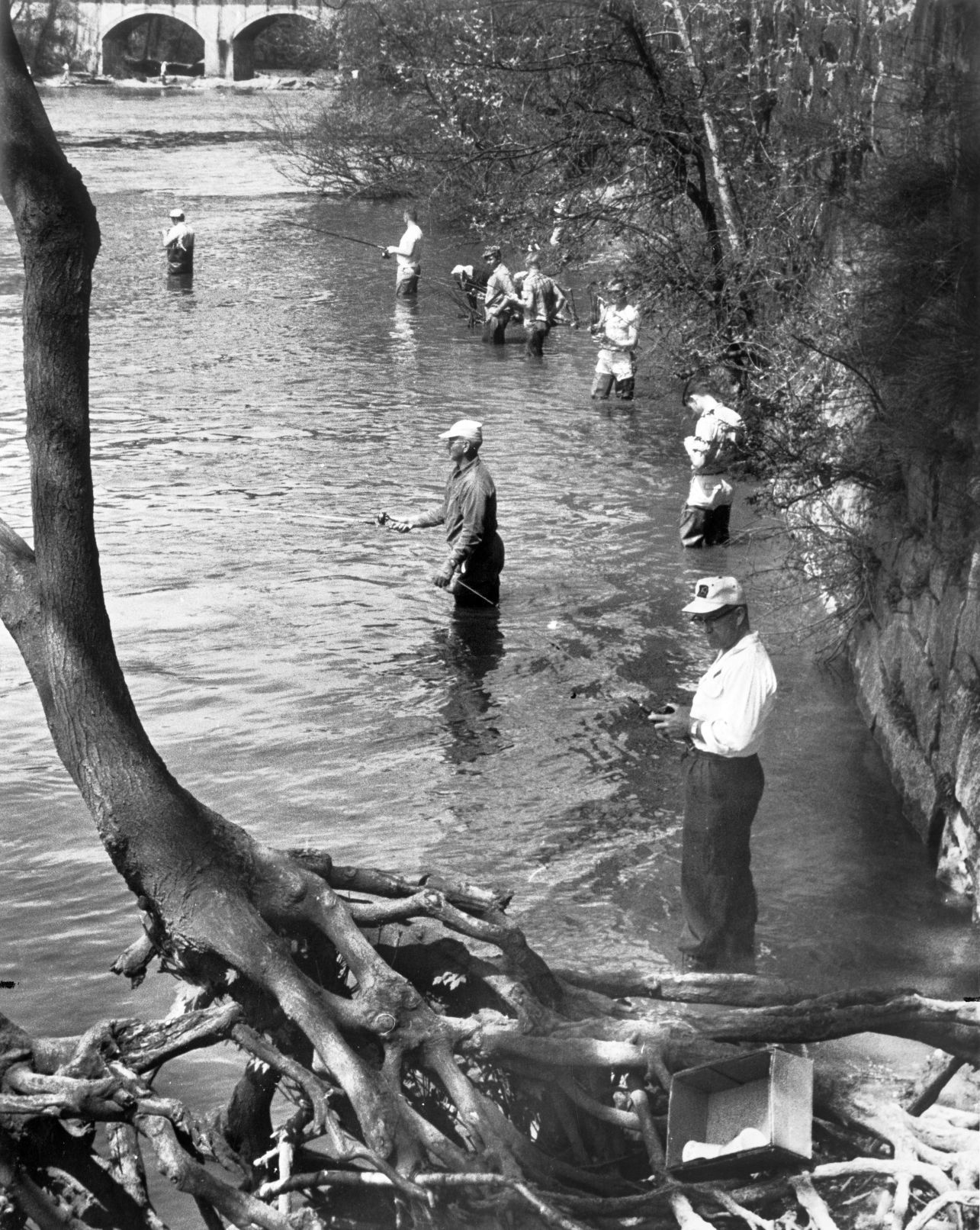 Fishing